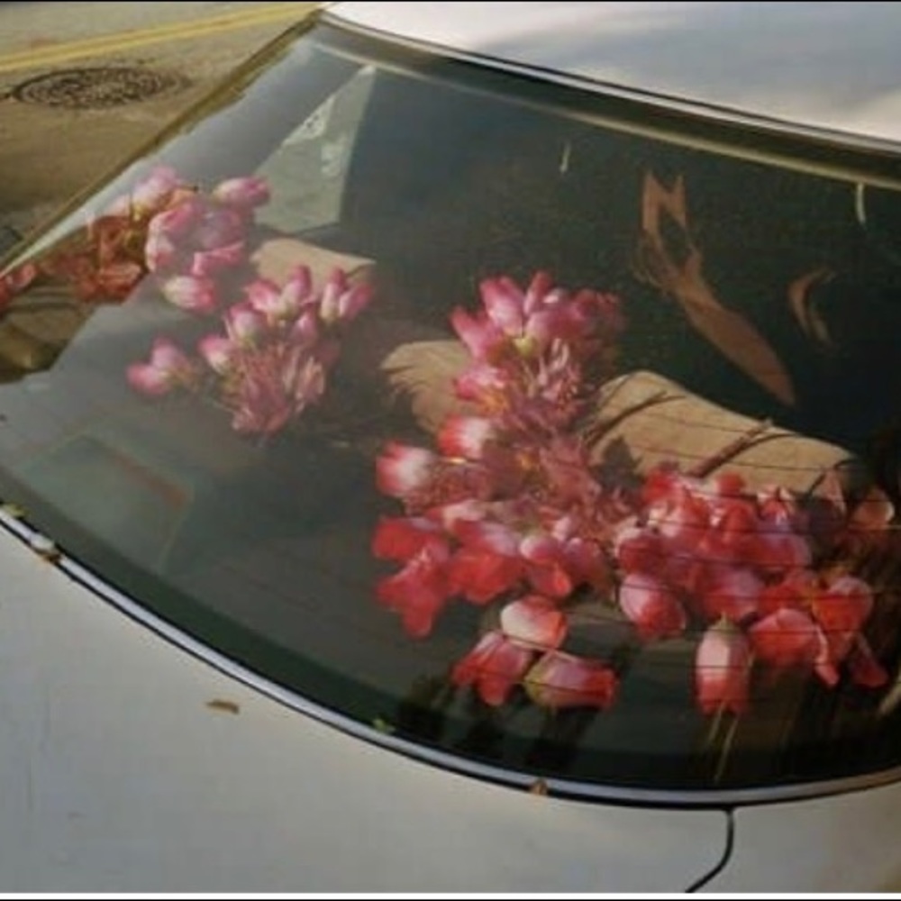 Meet your Posher, Rose